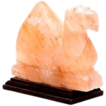 DH510-Camel Salt Lamp